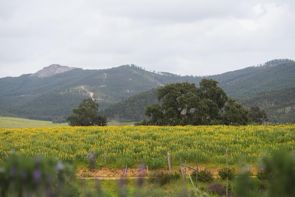 Herdade Do Amarelo Nature & Spa Vila Nova de Milfontes Exterior photo